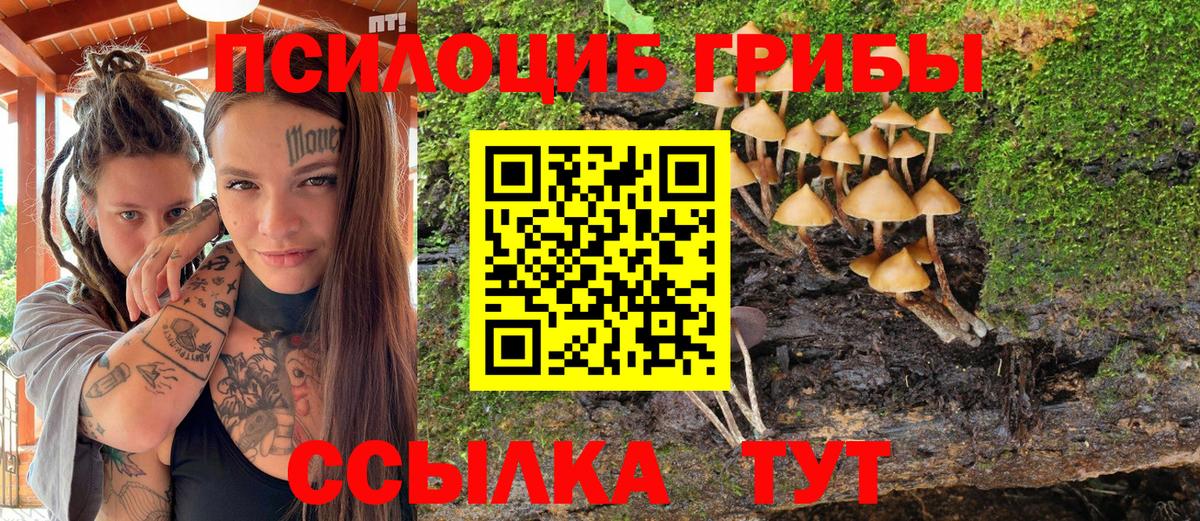 Псилоцибиновые грибы прущие грибы  Вход с VPN  Комсомольск-на-Амуре 