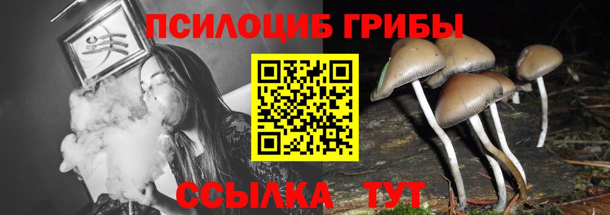 Псилоцибиновые грибы прущие грибы Комсомольск-на-Амуре